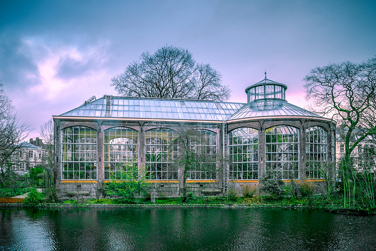 Ботанический сад, Амстердам